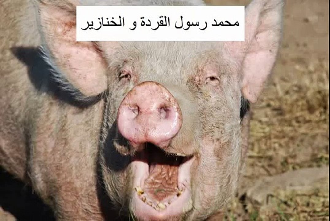 Algerie Portrait robot de mohamed le khanzir