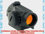 Micro T-1 2 MOA Red Dot Scope with Standard Mount?