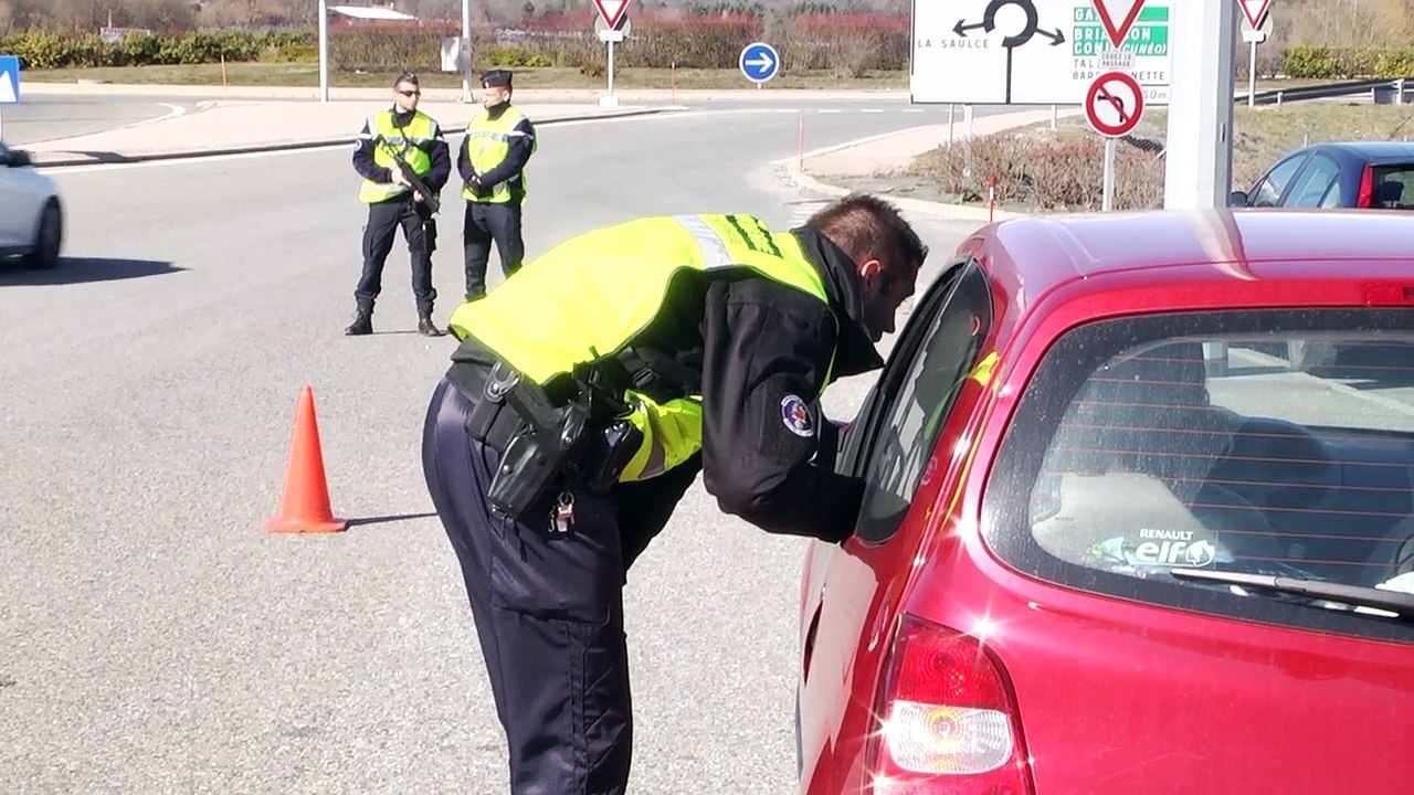 Hautes-Alpes: un chien renifle de la drogue dans un véhicule à la Saulce