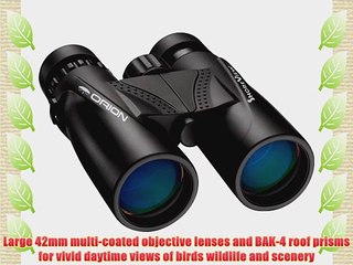 Orion 09471 ShoreView 8 x 42 Waterproof Binoculars (Black)