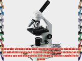 AmScope M500A Monocular Compound Microscope WF10x and WF16x Eyepieces 40x-1600x Magnification