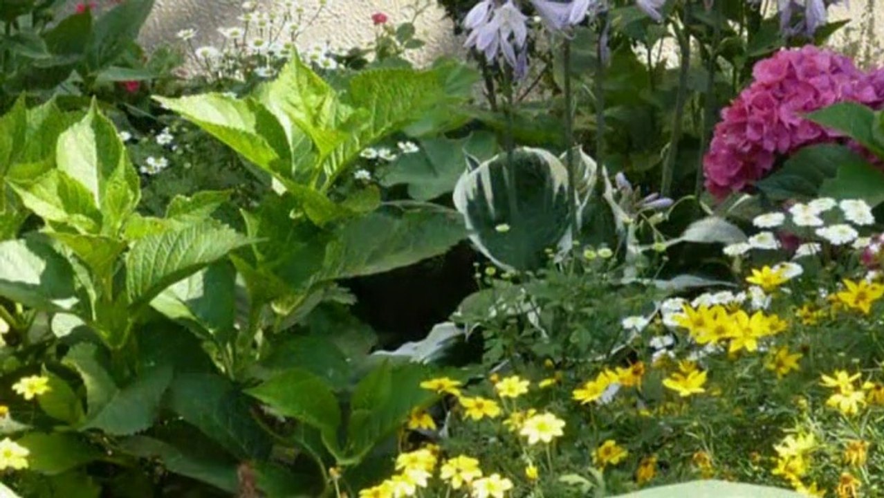 Vorgärten in Berlin-Marzahn