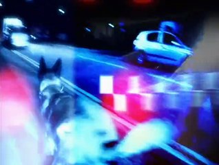 Send In The Dogs s02e08 (UK)