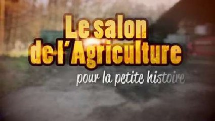 Pourquoi François Ier a conservé le coq comme emblème de la France ?