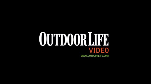 Tackle Test: Lews Tournament Pro TP300HP Reel