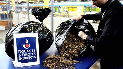 2002-Douanes de Roissy Charles de Gaulle