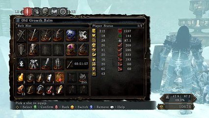 Dark Souls 2 Crown of The Ivory King Gameplay Part 2