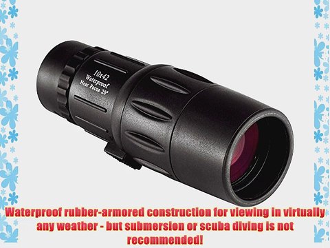 Orion 10x42 Waterproof Monocular (Black)