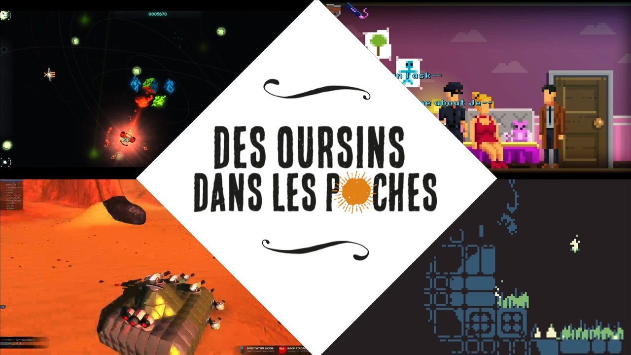 Des Oursins dans les Poches #4 (février 2015)