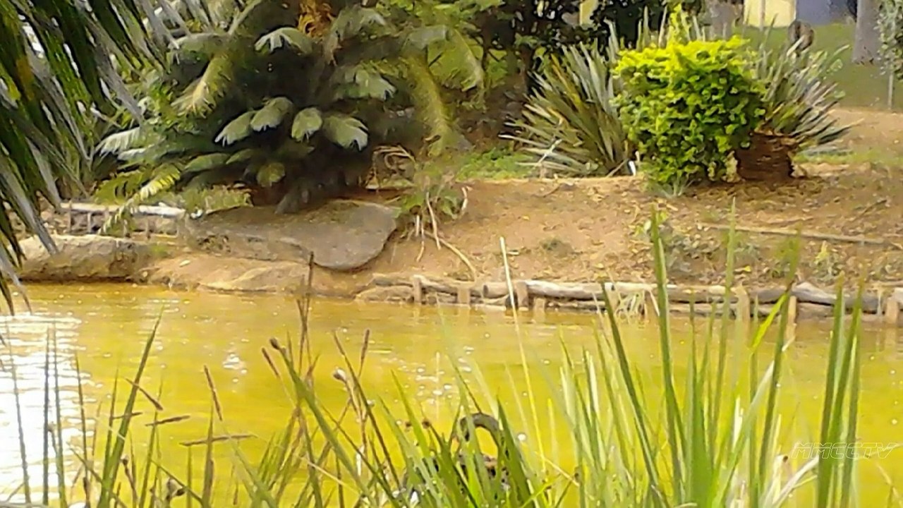 Parques de São Paulo - Raul Seixas