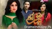 Chupkay Se Bahar Ajaye Episode 20 Promo on Aplus 20 February 2015