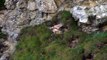 Kestrel Hovering and Hunting in Cornwall