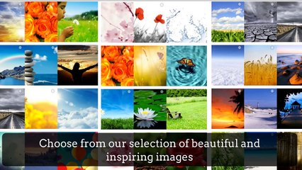 Canvas Zoo Personal Shopper