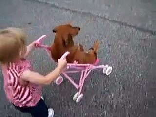 Little Girl Loves Pushing Her Puppy
