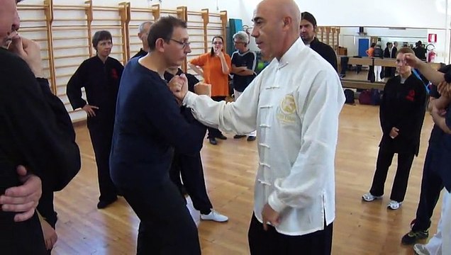 I SEGRETI DEL TAIJI QUAN: IL PUGNO TRIDIMENSIONALE - M° FLAVIO DANIELE