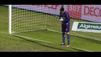 Goal Pessalli - Angers 1-0 Laval - 20-02-2015
