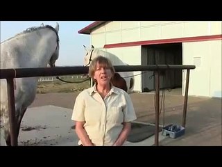 VOTERS NOT VICTIMS - Ginger