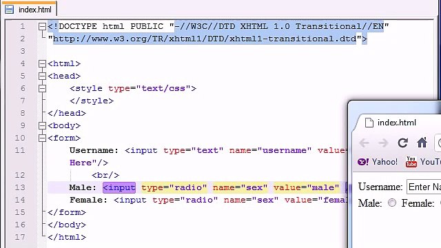 -XHTML and CSS Tutorial - 41 - Check Boxes -u0026 Radio Buttons