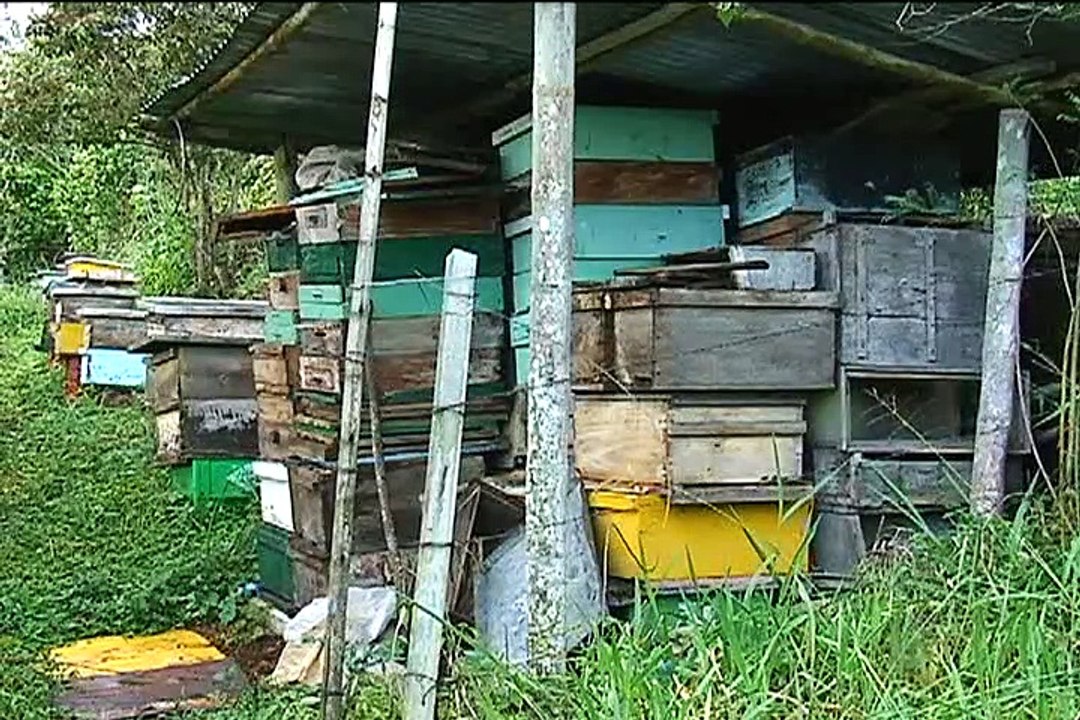 23 de febrero de 2015 Cauca Universidades.
