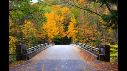 Matthew Patrick Boylston MA - Photo Montage #2