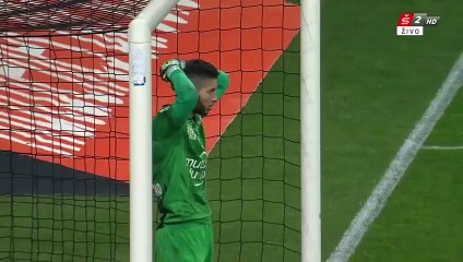 Monaco 1-0  Nice goals and highlights 20.02.2015 HD