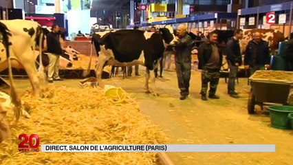 Salon de l'agriculture : les animaux prêts à accueillir les visiteurs