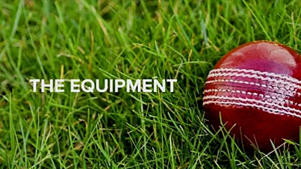 Americans and Cricket
