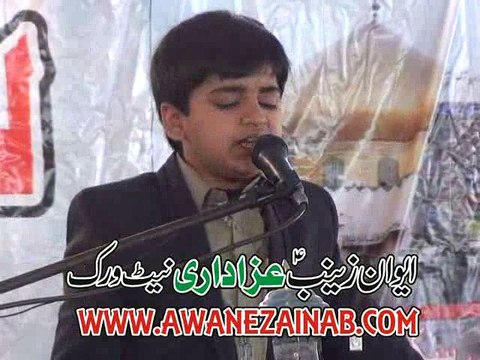 Zakir Syed Kumail naqvi 20 feb 2015 chak 25 Riaz Wala Nizd Shair Garh Akhtarabad