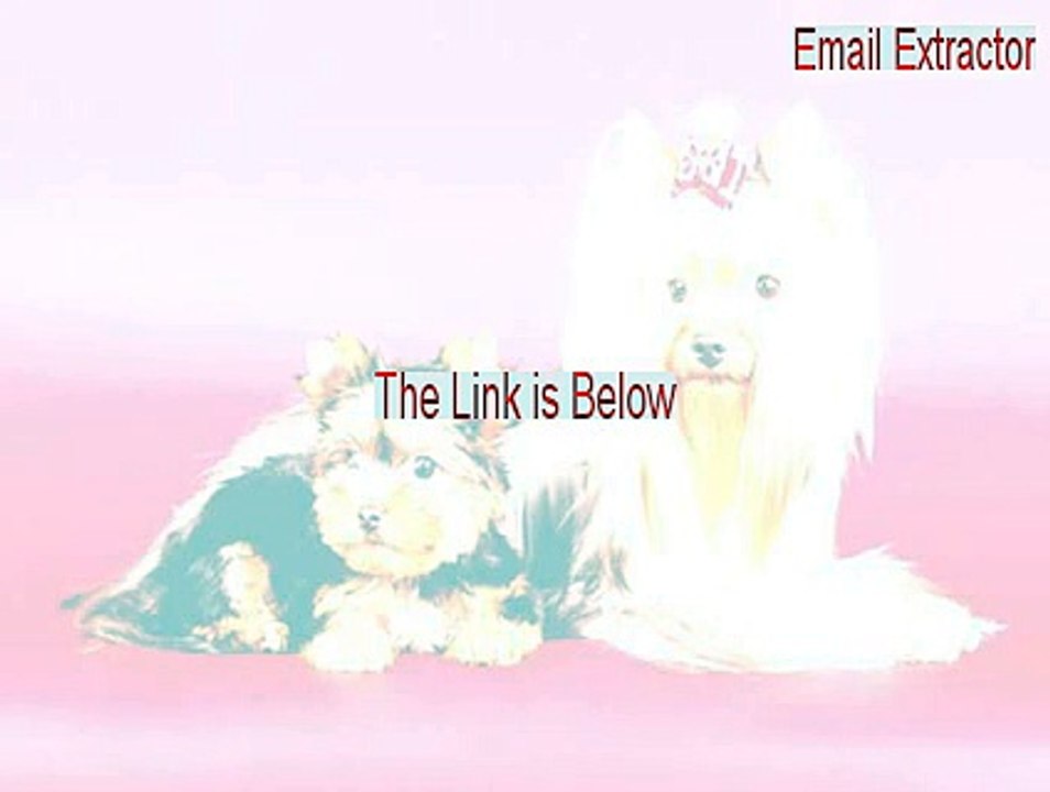 Email Extractor Serial - Download Here