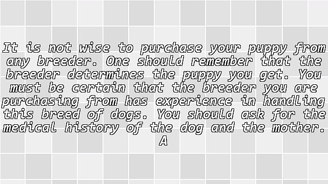 Factors To Consider In Selecting Ddr Female German Shepherds For Sale