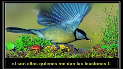 GOTAS DE REFLEXIÓN No. 7