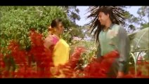 Hum Teri Mohabbat Mein (((Jhankar))) - Phool Aur Angaar (1993), song frm AHmed
