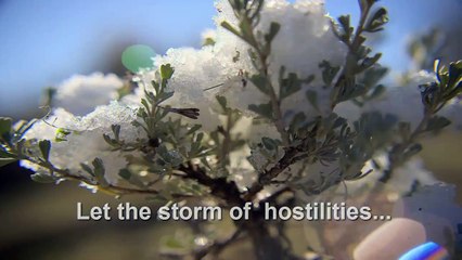 Thawing the winter of politics--Merry Christmas, Happy Hanukkah: Bayoubuzz.com