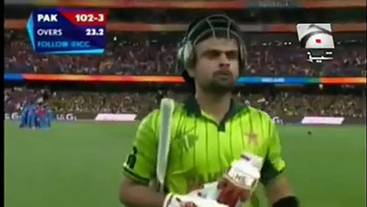 hhaahah punjabi tota about paki team