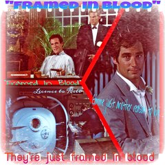 -LICENCE TO KILL - Framed In Blood -