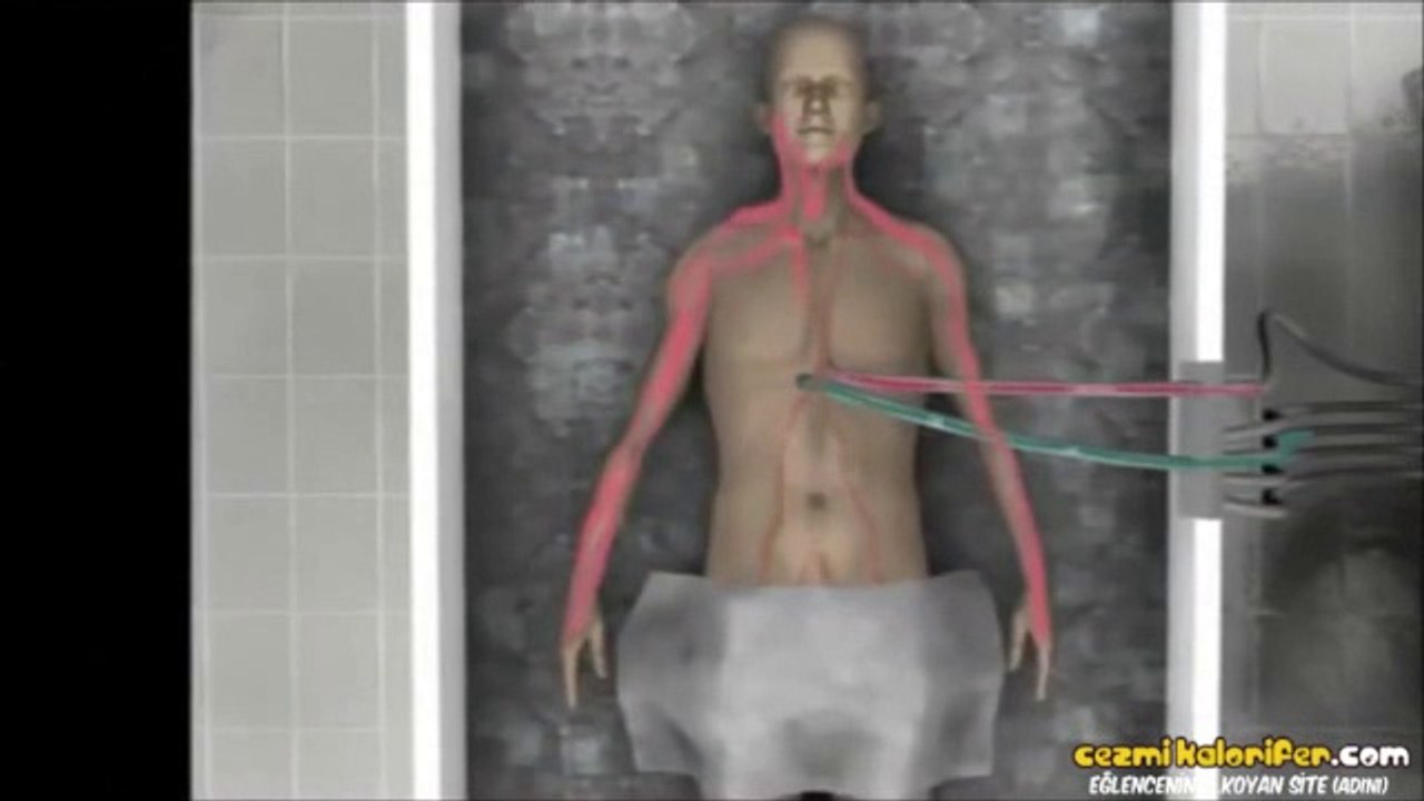 Dondurulmuş İnsanlar - Cryonics Projesi