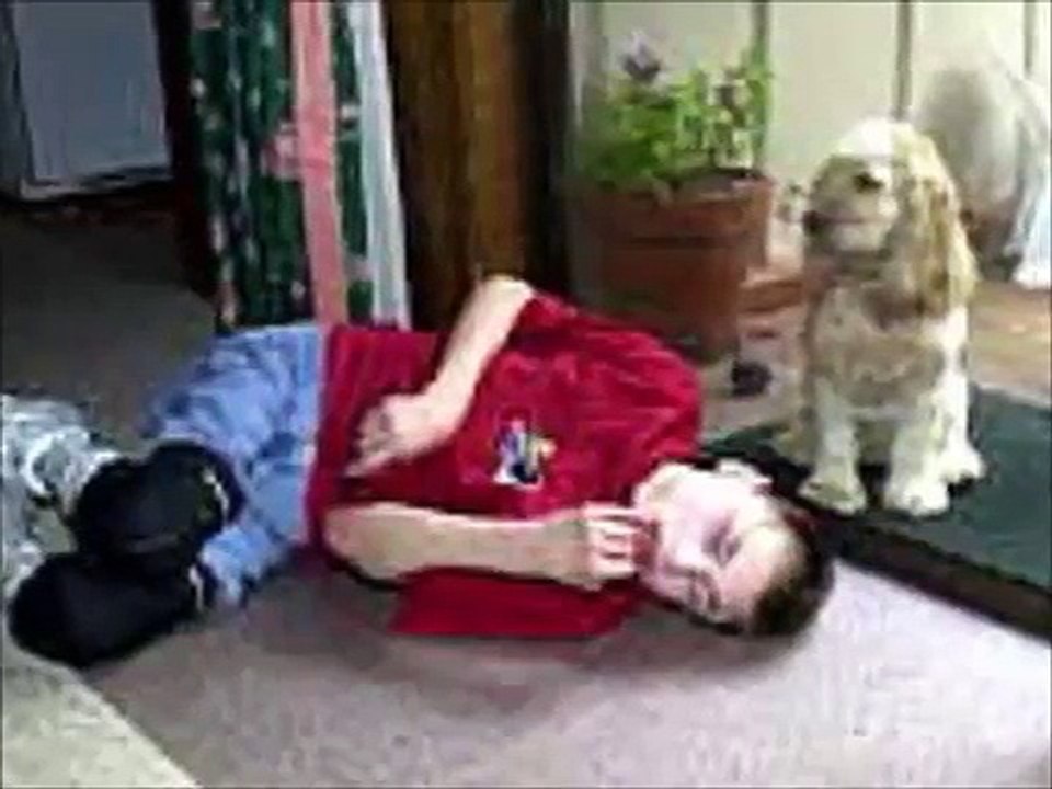 La Epilepsia y Crisis Convulsivas