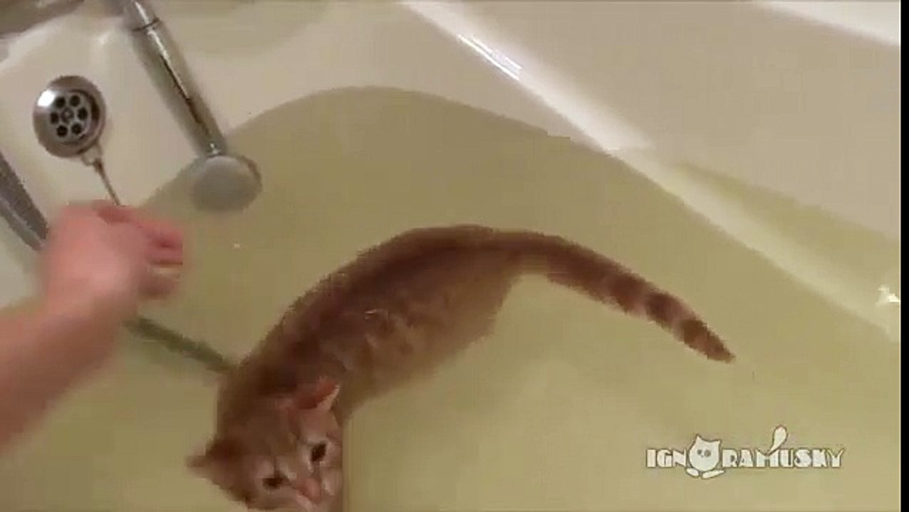 I can swim!