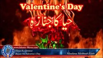 Celebrating 'Valentine's Day' By Maulana Mehboob Elahi