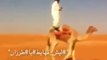 Crazy Arab Man Stand On Camel