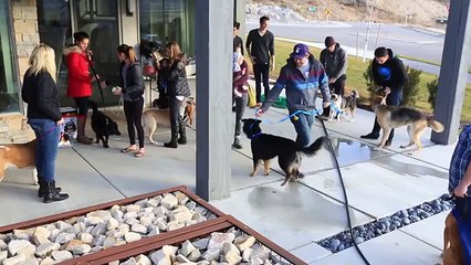 Freshpet Holiday Feast - Behind the Scenes (Low)