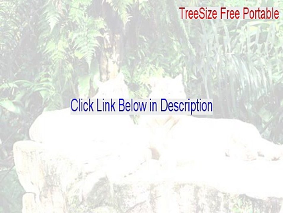 TreeSize Free Portable Key Gen (treesize freeware portable 2015)