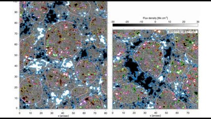 Space: The Origin of the Magnetic Field Covering the Sun Has Been Discovered