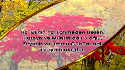 Həzrəti Əlinin (r.ə) şərəfli həyatı