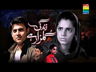 Zindagi Gulzar Hai OST Drama on HumTv - Full Song