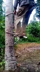 wow this man is amazing