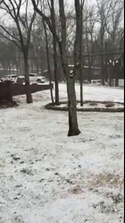 Watch this truck slide out of control on ice, smashing into cars in its path