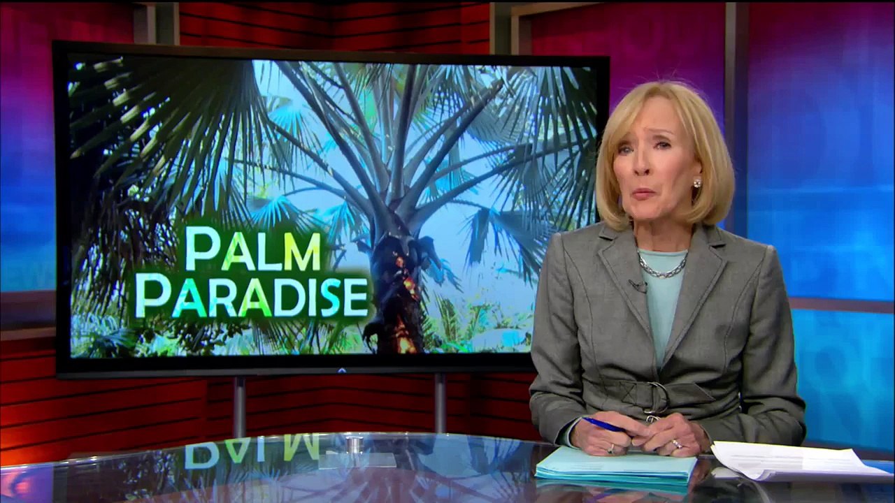 How poet W.S. Merwin found paradise by planting palm trees