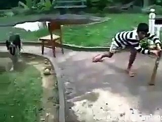 Very funny a dog playing cricket