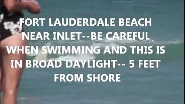 FLORIDA SHARK ATTACKS IN BROAD DAYLIGHT 5 FEET FROM SHORE FLORIDA BEACH